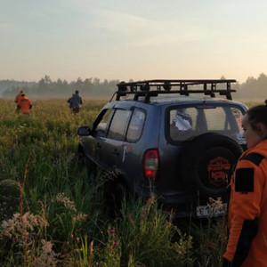 «Ушел за ягодами и пропал». Спасатели рассказали о поисках 67-летнего жителя Улыбышево