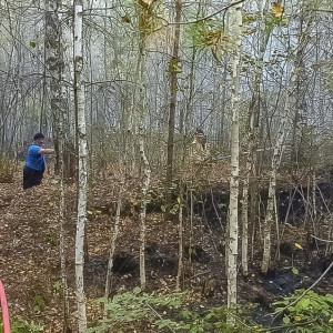 Лесной пожар в Камешковском районе добрался до деревни Высоково