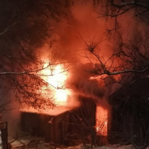 Спасатели рассказали о перекрывшем въезд в Боголюбово пожаре