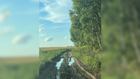 Под Кольчугино появится дорога вместо разбитой колеи