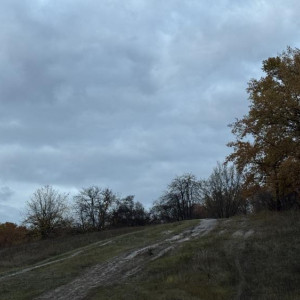 Прогноз погоды во Владимирской области на 30 октября 2025 года