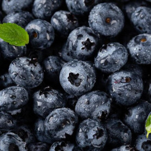 Панкратий и Кирилл: что можно и нельзя делать 22 июля