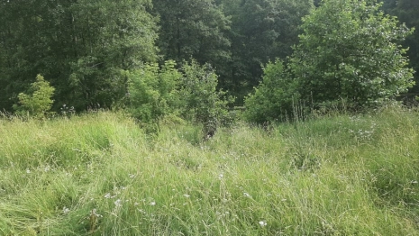 Утонувшему в Меленках мужчине было 68 лет