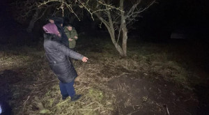 В Петушках женщина задушила иностранца и закопала тело на участке