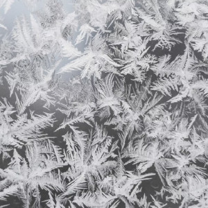 Синоптики рассказали, придут ли во Владимирскую область обещанные заморозки до -25