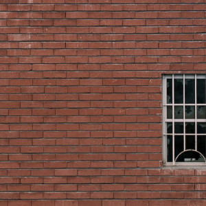 В Коврове будут судить зарезавшего должника и выбросившего труп в лесу мужчину