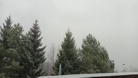 Во Владимирской области начался снегопад 20 ноября