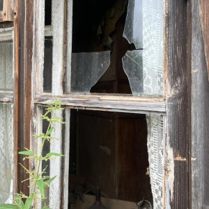 Бастрыкин взял на контроль проживание людей в ветхом 93-летнем доме в Муроме