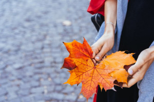 Прогноз погоды во Владимирской области на 22 ноября 2024 года