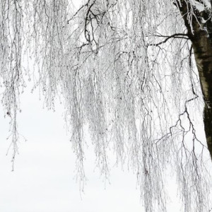 МЧС предупредило жителей Владимирской области о 35-градусных морозах