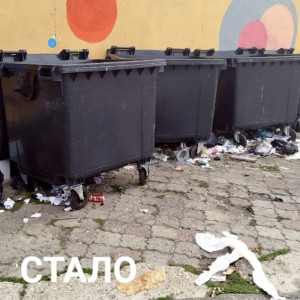 Во Владимире стихийная свалка со Спасской переехала к книжному магазину