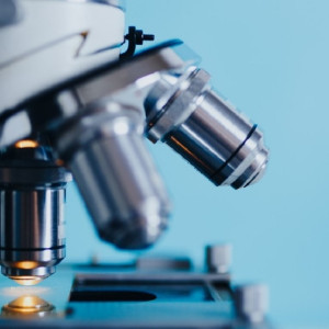 У жителей Владимирской области появятся электронные медкарты