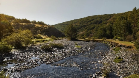 Владимирский губернатор поделился планами по расчистке 12 рек