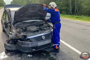 В Камешковском районе столкнулись Renault Logan и BMW