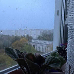 Прогноз погоды во Владимире и области на 24 октября