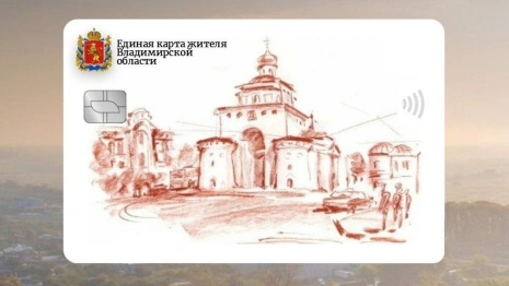 Запись ко врачу и оплата проезда: что будет доступно владимирцам по единой карте жителя