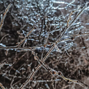 Ледяной дождь во Владимире. Что это такое и как спастись от его последствий