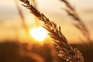 В 2026 году температура на Земле будет на 1,46 градусов выше нормы