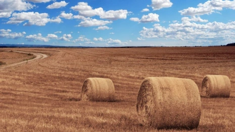 Авдотья-сеногрейка: что можно и нельзя делать 20 июля