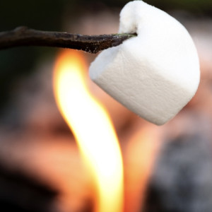 В Свердловской области дети пожарили зефир на Вечном огне