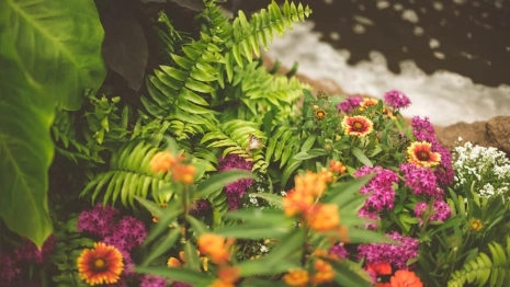 Во Владимире разработают концепцию озеленения города
