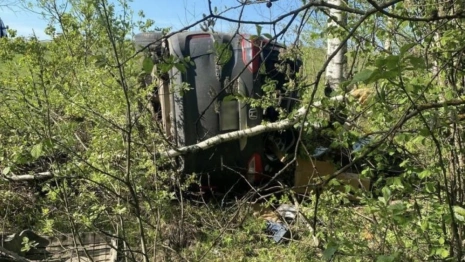 В Александровском районе водитель Honda погиб после столкновения с деревом