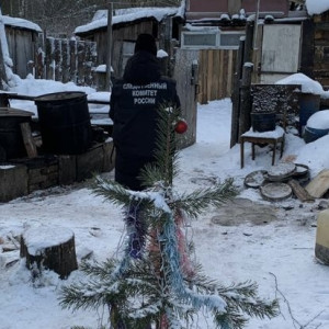 Жителя Гусь-Хрустального будут судить за убийство брата в новогоднюю ночь