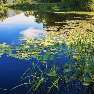 Следком начал проверку после гибели мужчины в Клязьме во Владимире