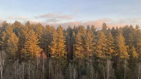 Прогноз погоды во Владимирской области на 1 октября 2025 года