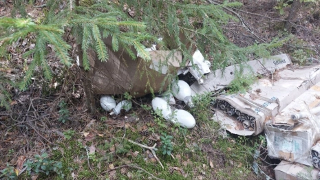 Во Владимирской области ликвидировали свалку ртутных ламп