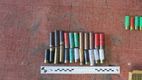 В Гороховце под суд пойдет браконьер из Нижнего Новгорода
