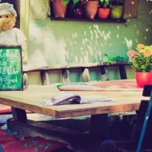 Кафе дог-френдли и мидии из Чили. Гид по самым инстаграмным заведениям Владимира