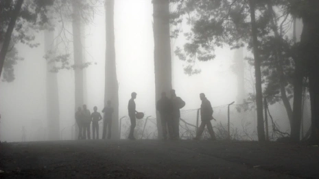 Мать двоих детей из Коврова убили и расчленили 