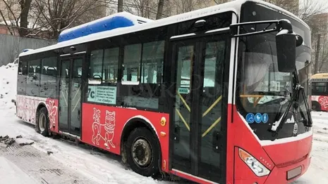 Во Владимире начали распродавать новые автобусы за 2,5 млн рублей