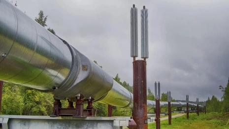 Во Владимирской области двое мужчин попались на хищении топлива из нефтепровода