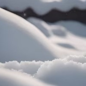 Следком начал проверку из-за найденного под Владимиром замерзшего трупа