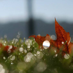 Рабочая неделя во Владимире начнется с похолодания