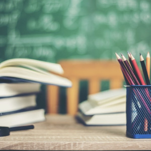 В Камешковском районе школу не обследовали с прошлого века