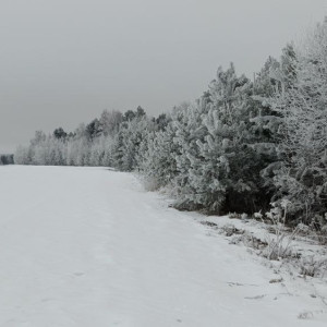 Прогноз погоды во Владимирской области на 17 февраля 2025 года