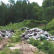 В деревне под Александровом нашли разбросанные останки животных