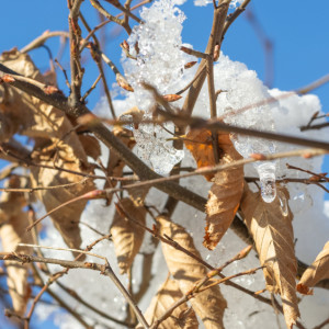 Прогноз погоды во Владимире и области на 29 февраля