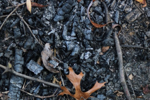 Во Владимирской области силовики сообщили о смерти 61-летнего мужчины на пожаре