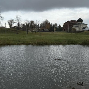 Прогноз погоды во Владимирской области на 9 октября 2025 года