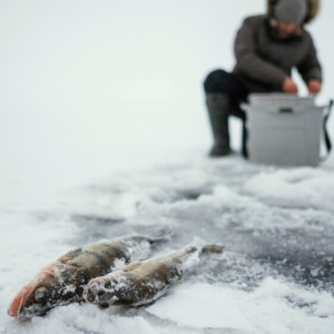 Народные приметы на 10 марта: что можно и нельзя делать в день Порфирия Позднего