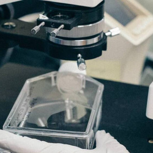 Владимирские ученые набрали пациентов для первых в России испытаний клеточного продукта