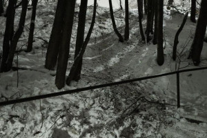 Гибель 9-летнего мальчика при катании на «Ватрушке» во Владимире привела к уголовному делу