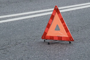 В Петушках автомобилистка без прав влетела в дерево