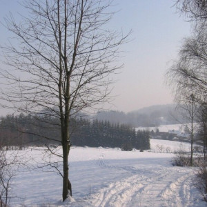 Маткапитал, общественный транспорт, гостайна. Что изменится для владимирцев в феврале-2024 