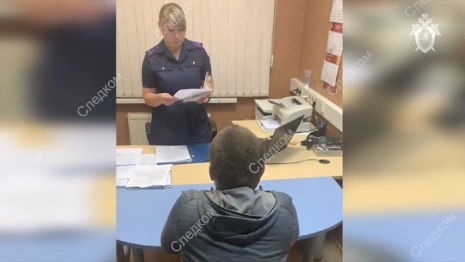 Появилось видео задержания сбившего полицейского жителя Коврова