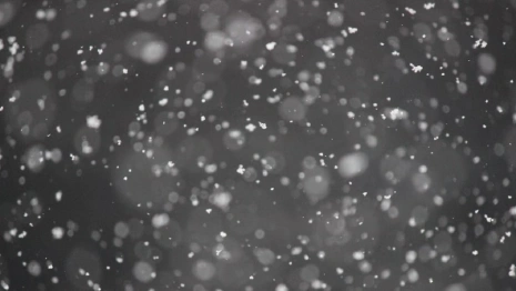 Прогноз погоды на 20 февраля во Владимирской области 